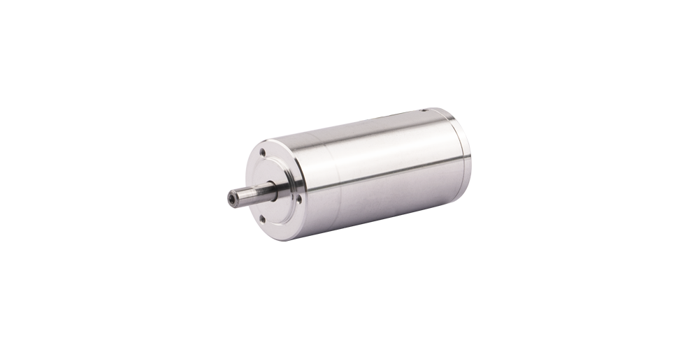 22 mm Slotted Brushless DC Motor platform reference